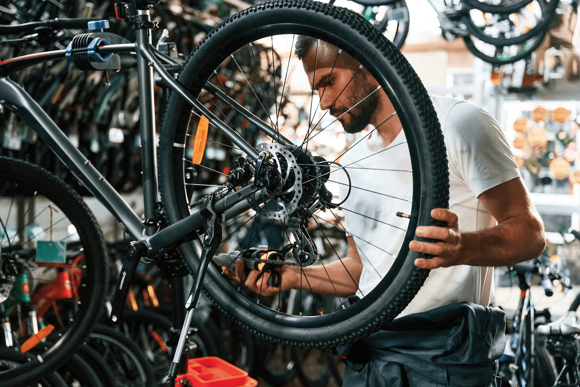 Zdjęcie serwistanta